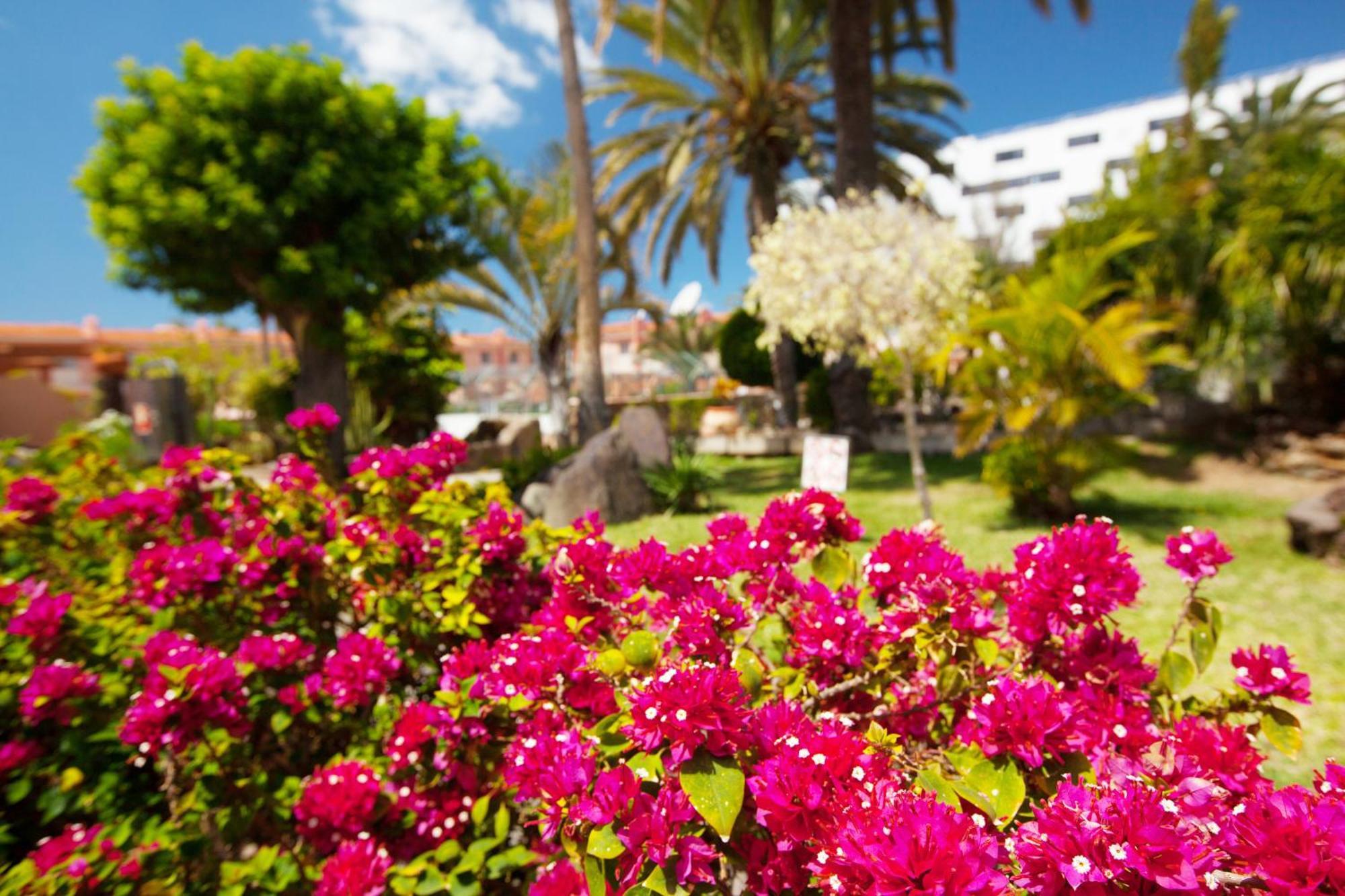 Jardin Del Sol Lägenhet Playa del Inglés Exteriör bild